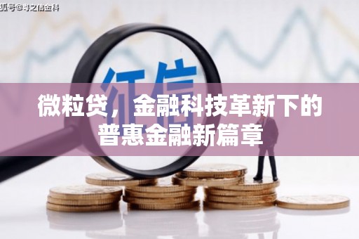 金坛微粒贷，金融科技革新下的普惠金融新篇章