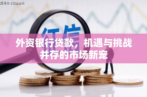 金坛外资银行贷款，机遇与挑战并存的市场新宠