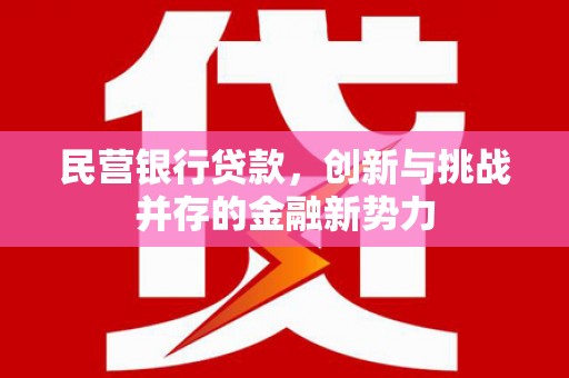 金坛民营银行贷款，创新与挑战并存的金融新势力