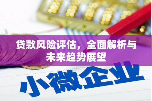 金坛贷款风险评估，全面解析与未来趋势展望