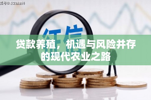金坛贷款养殖，机遇与风险并存的现代农业之路