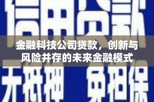 金坛金融科技公司贷款，创新与风险并存的未来金融模式