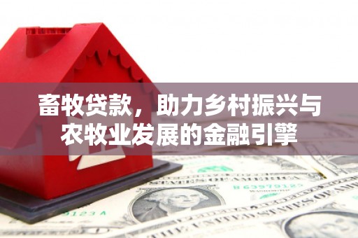 金坛畜牧贷款，助力乡村振兴与农牧业发展的金融引擎