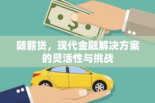 金坛随薪贷，现代金融解决方案的灵活性与挑战