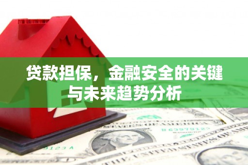 金坛贷款担保，金融安全的关键与未来趋势分析