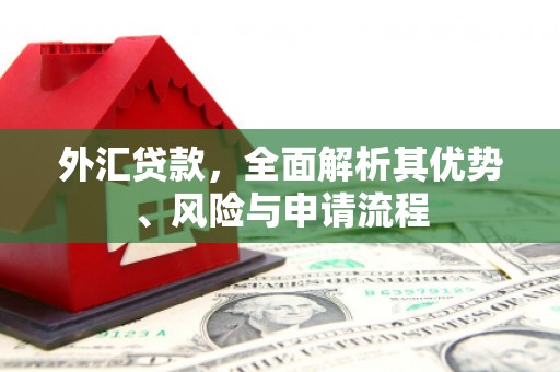金坛外汇贷款，全面解析其优势、风险与申请流程