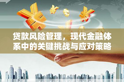 金坛贷款风险管理，现代金融体系中的关键挑战与应对策略
