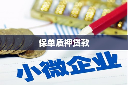 金坛保单质押贷款