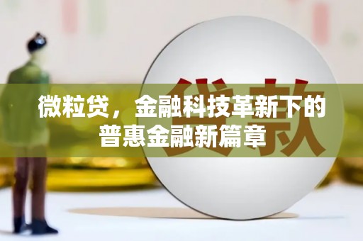 金坛微粒贷，金融科技革新下的普惠金融新篇章
