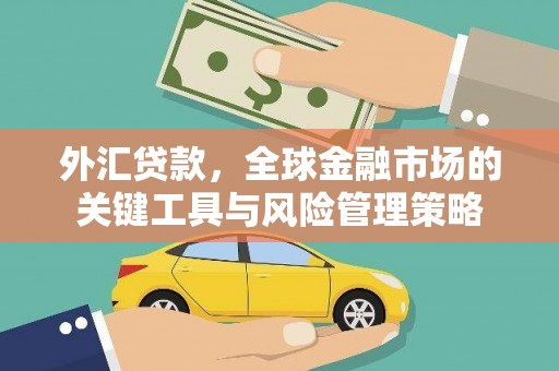 金坛外汇贷款，全球金融市场的关键工具与风险管理策略