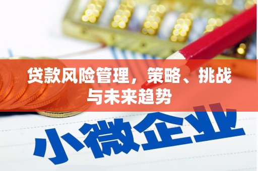 金坛贷款风险管理，策略、挑战与未来趋势