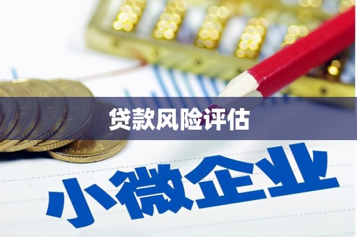 金坛贷款风险评估