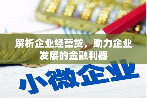 金坛解析企业经营贷，助力企业发展的金融利器