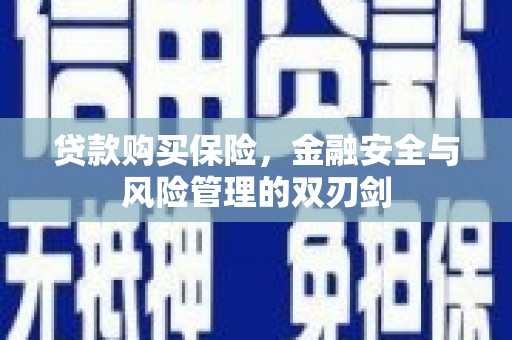金坛贷款购买保险，金融安全与风险管理的双刃剑