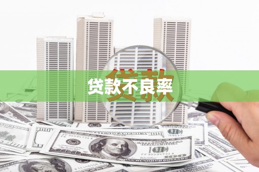 金坛贷款不良率
