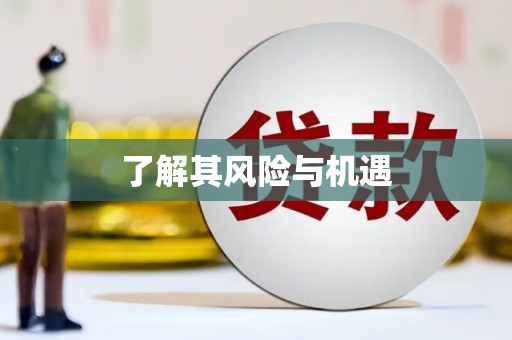 金坛了解其风险与机遇