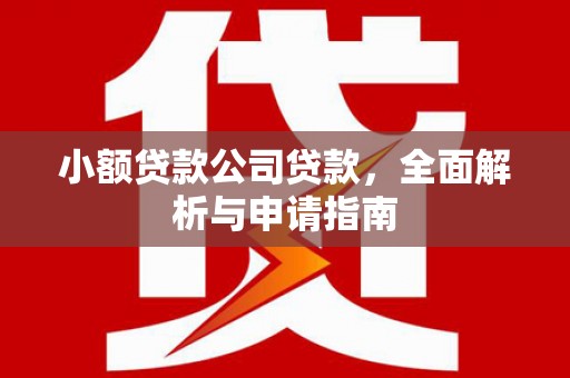 金坛小额贷款公司贷款，全面解析与申请指南