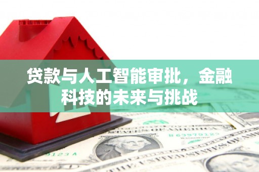 金坛贷款与人工智能审批，金融科技的未来与挑战