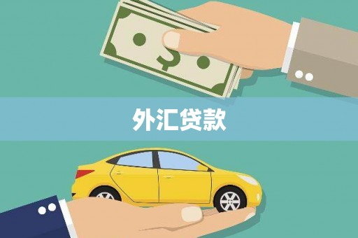 金坛外汇贷款