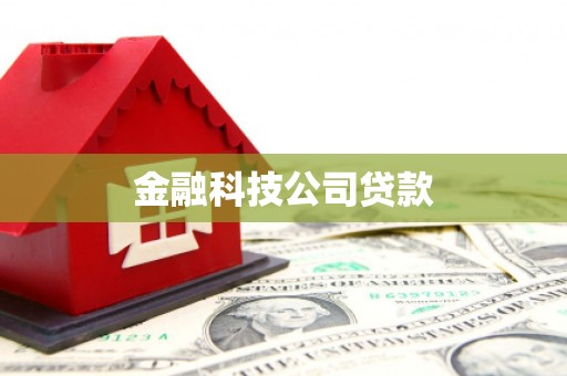 金坛金融科技公司贷款