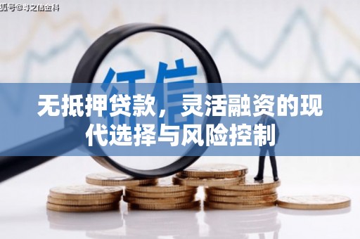 金坛无抵押贷款，灵活融资的现代选择与风险控制
