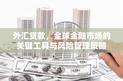 金坛外汇贷款，全球金融市场的关键工具与风险管理策略
