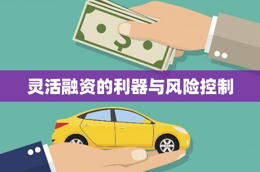 金坛灵活融资的利器与风险控制