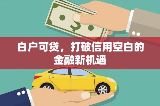 金坛白户可贷，打破信用空白的金融新机遇