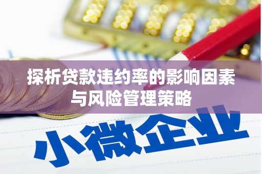 金坛探析贷款违约率的影响因素与风险管理策略