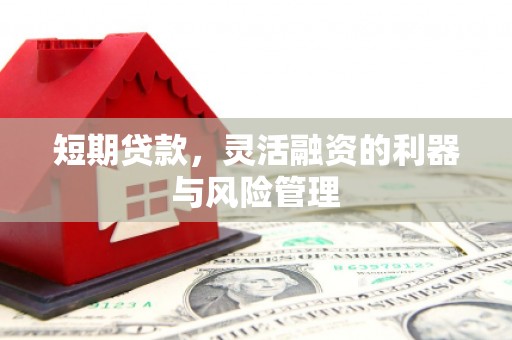 金坛短期贷款，灵活融资的利器与风险管理