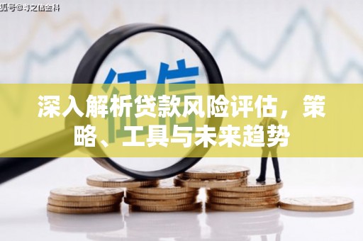 金坛深入解析贷款风险评估，策略、工具与未来趋势