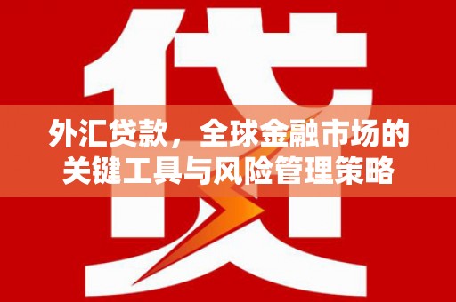 金坛外汇贷款，全球金融市场的关键工具与风险管理策略