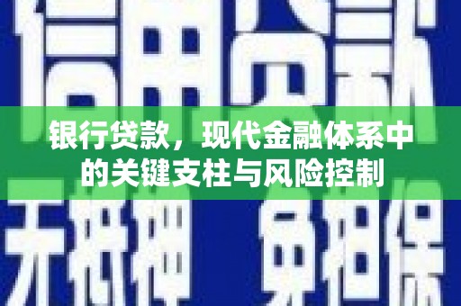 金坛银行贷款，现代金融体系中的关键支柱与风险控制