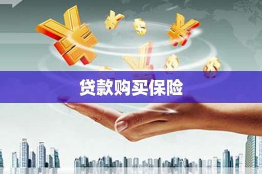 金坛贷款购买保险