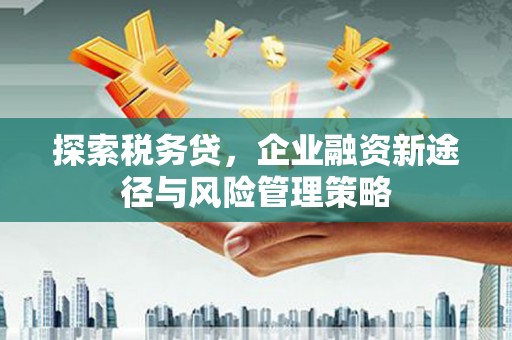 金坛探索税务贷，企业融资新途径与风险管理策略