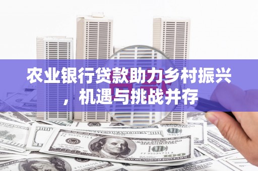 金坛农业银行贷款助力乡村振兴，机遇与挑战并存