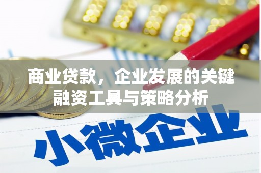 金坛商业贷款，企业发展的关键融资工具与策略分析