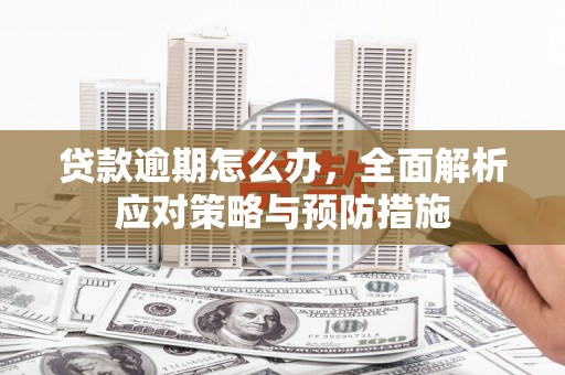 金坛贷款逾期怎么办，全面解析应对策略与预防措施