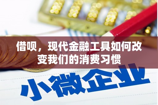 金坛借呗，现代金融工具如何改变我们的消费习惯