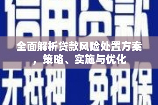 金坛全面解析贷款风险处置方案，策略、实施与优化