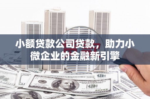 金坛小额贷款公司贷款，助力小微企业的金融新引擎