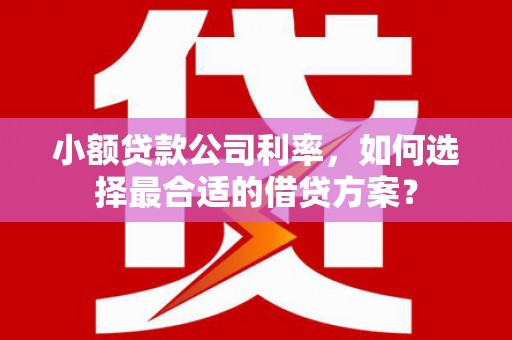 金坛小额贷款公司利率，如何选择最合适的借贷方案？