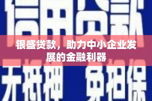 金坛银盛贷款，助力中小企业发展的金融利器