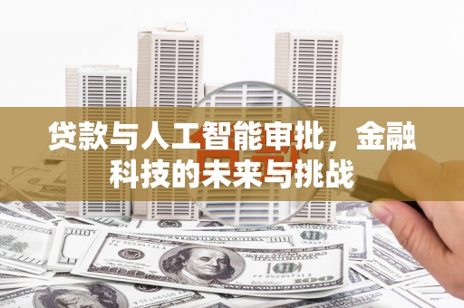 金坛贷款与人工智能审批，金融科技的未来与挑战
