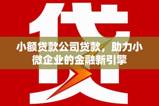 金坛小额贷款公司贷款，助力小微企业的金融新引擎