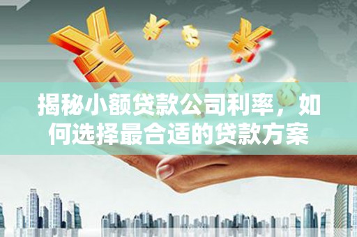 金坛揭秘小额贷款公司利率，如何选择最合适的贷款方案
