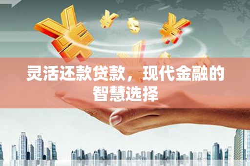金坛灵活还款贷款，现代金融的智慧选择