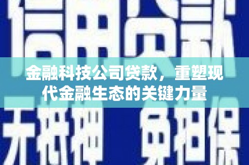 金坛金融科技公司贷款，重塑现代金融生态的关键力量