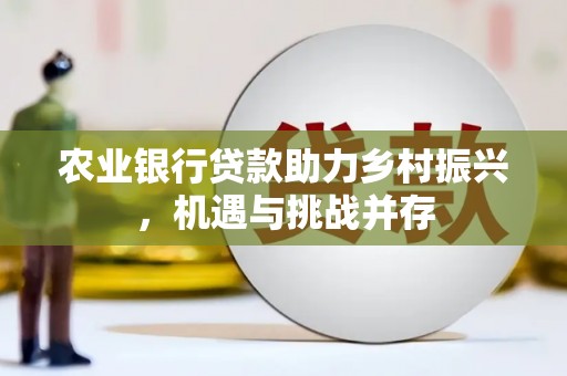 金坛农业银行贷款助力乡村振兴，机遇与挑战并存