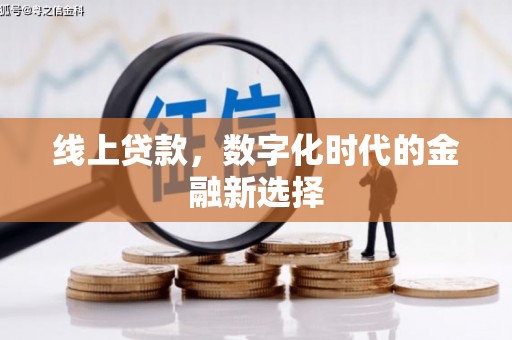金坛线上贷款，数字化时代的金融新选择